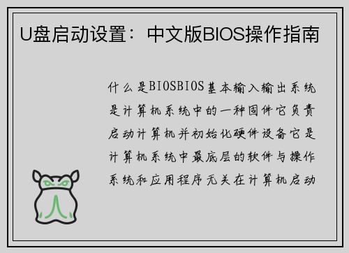U盘启动设置：中文版BIOS操作指南
